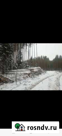 Продам лес кругляк пиловочник Сусанино - изображение 1