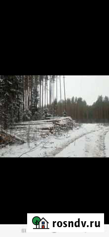 Продам лес кругляк пиловочник Сусанино - изображение 1