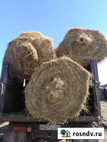Сено люцерны, луговое, солома Старонижестеблиевская - изображение 1