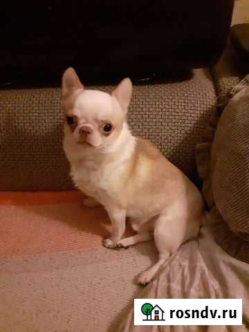 Вязка Воронеж - изображение 1