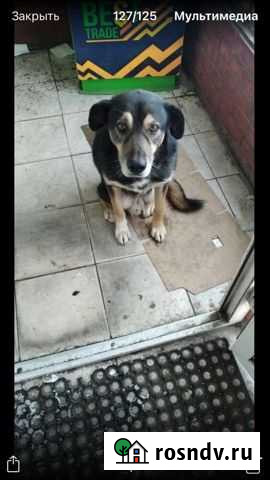 Приходит и ждёт парень хороший Тюмень - изображение 1