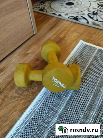 Гантели 2 кг Горно-Алтайск - изображение 1