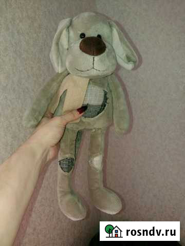 Собачка Бердск - изображение 1