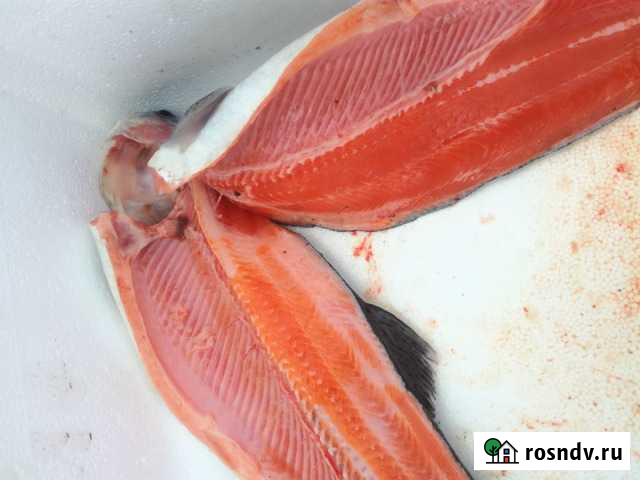 Рыба Волоколамск - изображение 1