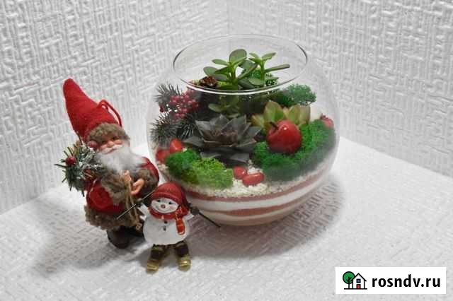 Флорариум подарок Севастополь - изображение 1