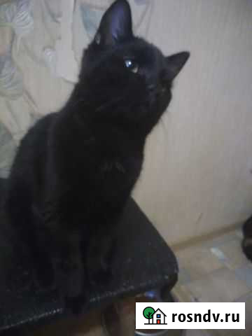 Ищу дом Владимир - изображение 1