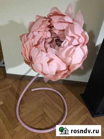 Ростовой цветок Тольятти - изображение 1