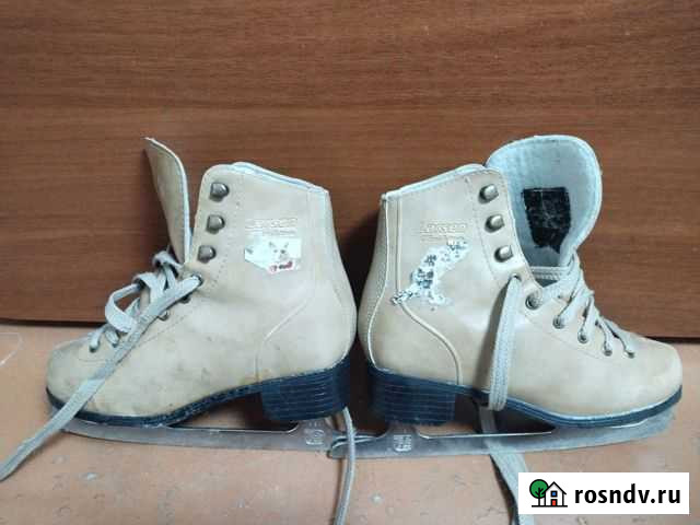 Коньки Оренбург - изображение 1