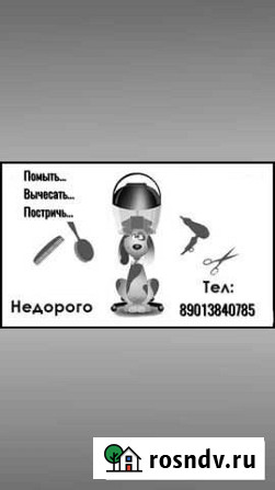 Стрижка собак и кошек Комсомольск - изображение 1
