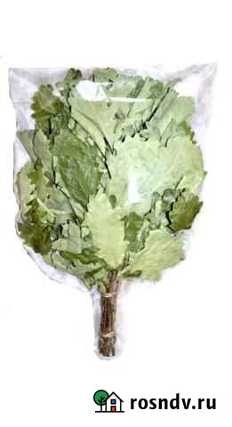 Веники для бани Тюмень - изображение 1