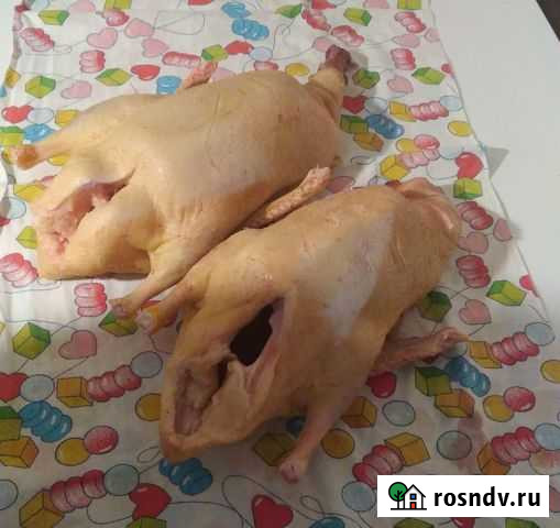 Белая утка Новопокровская - изображение 1