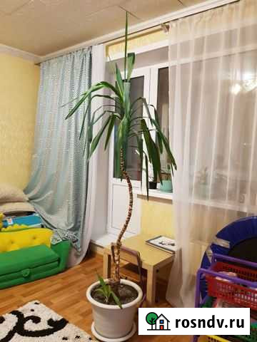 Пальма. Юкка Пермь - изображение 1