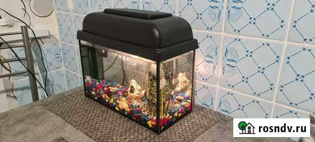 Аквариум 12-15л, со светом, фильтром, декором и ул Саратов - изображение 1