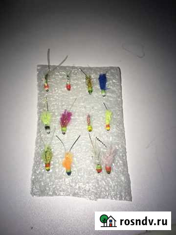 Мухи на омуля Маркова - изображение 1