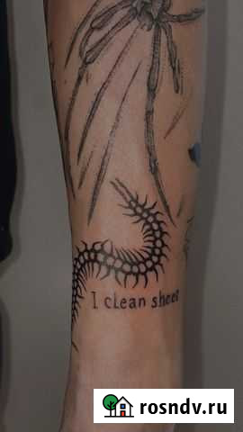 Обучение тату Казань - изображение 1