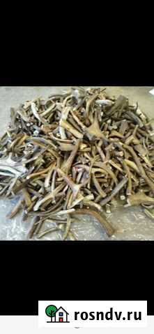 Рога Кг Смоленск - изображение 1