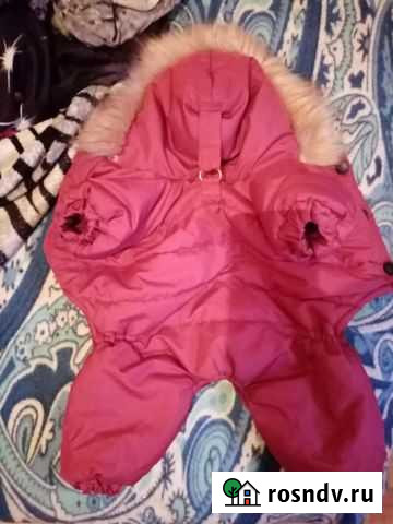 Комбинезон зимний для собак маленьких пород Сыктывкар - изображение 1