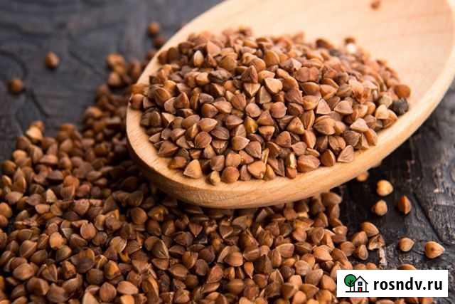 Гречка Березанская - изображение 1