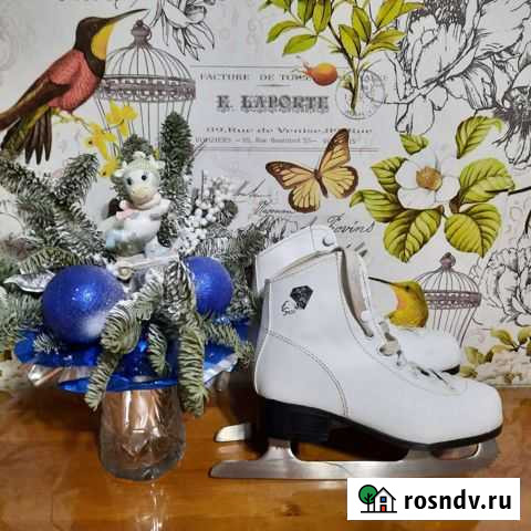 Коньки Вологда - изображение 1