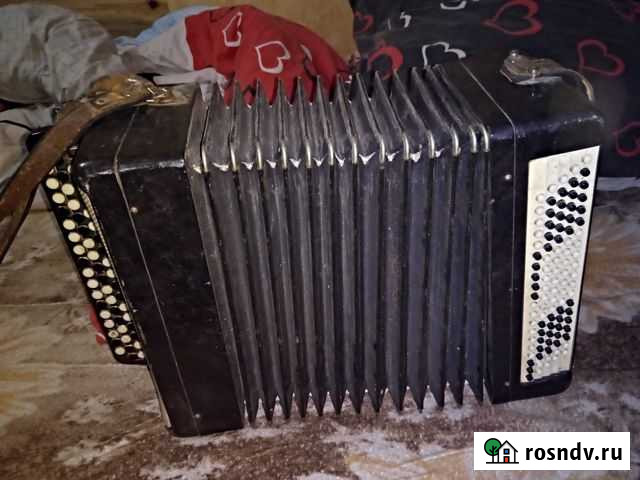 Баян Кунгур - изображение 1