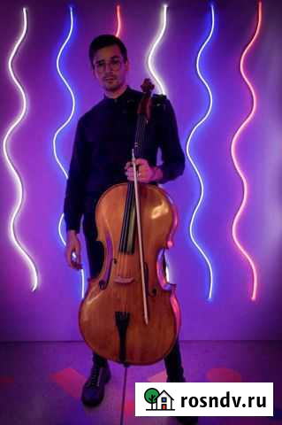 Музыкант виолончелист. Репетитор по музыке Ставрополь - изображение 1