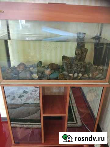 Аквариум Черницыно - изображение 1