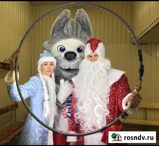 Дед Мороз и Снегурка Ставрополь - изображение 1