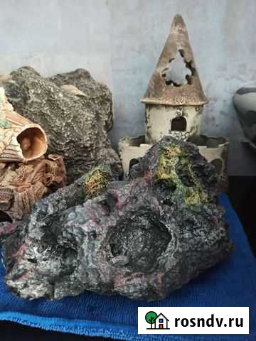 Для аквариума Смоленск - изображение 1