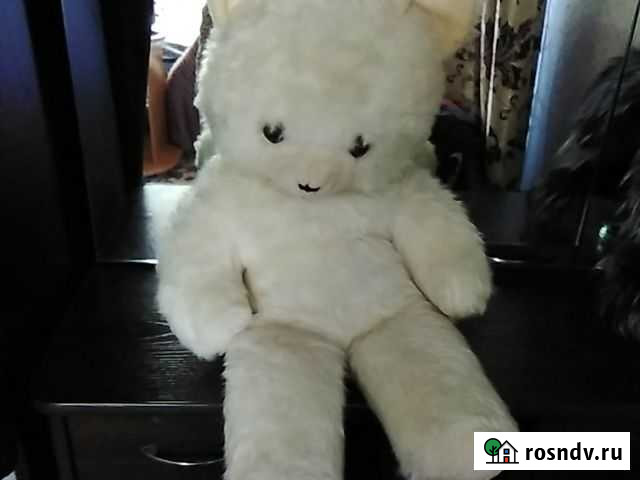 Медвежонок Барнаул - изображение 1