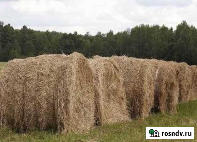 Сено, разнотравие Бельтирское - изображение 1