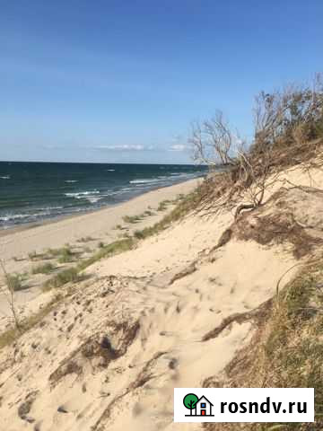 Индивидуальные экскурсии на куршскую косу Зеленоградск - изображение 1