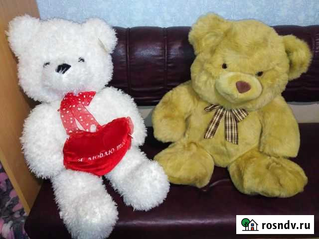 Два крупных медведя Ульяновск - изображение 1