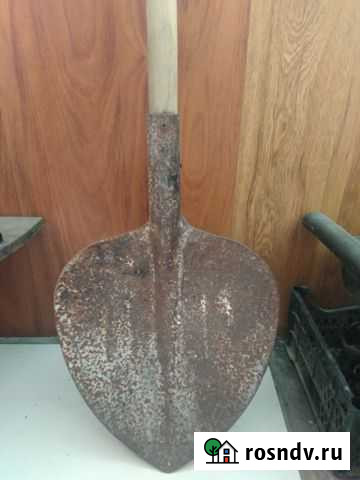 Для морского червя Новороссийск - изображение 1