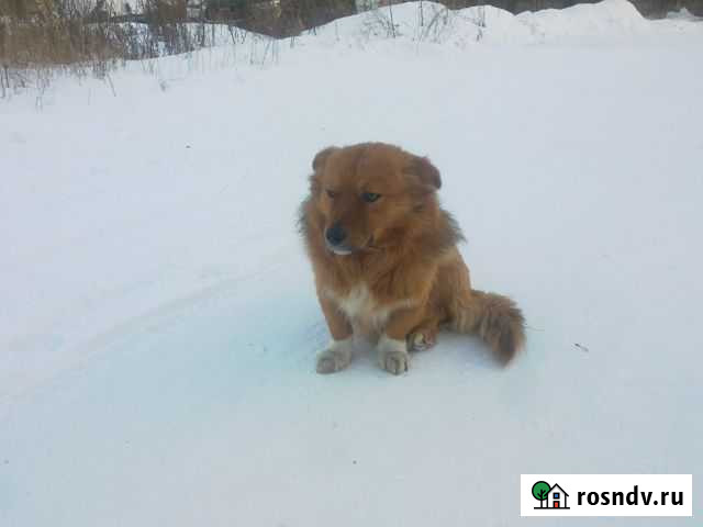 В заботливые руки Канск - изображение 1