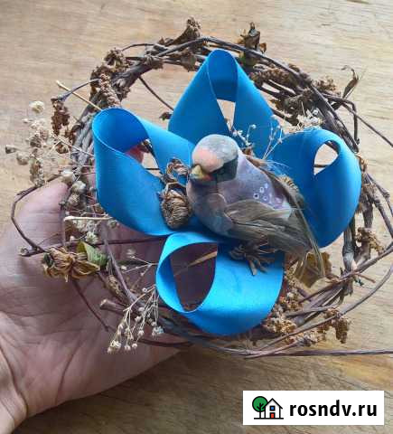 Декор Самара - изображение 1