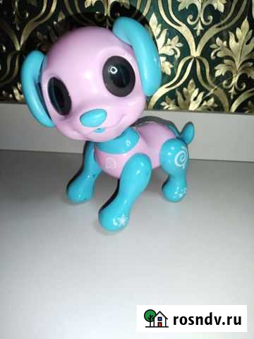 Собака робот Вологда - изображение 1