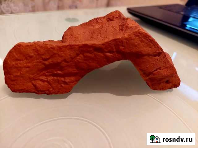 Укрытие для рептилий Балтийск - изображение 1