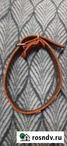 Ошейник для маленьких собак Ивантеевка - изображение 1