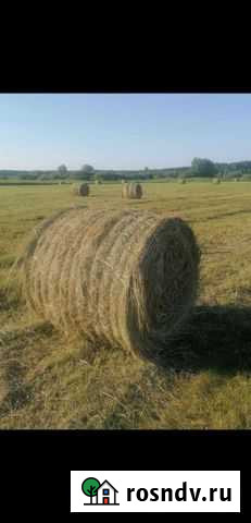 Сено в тюках Зубова Поляна - изображение 1