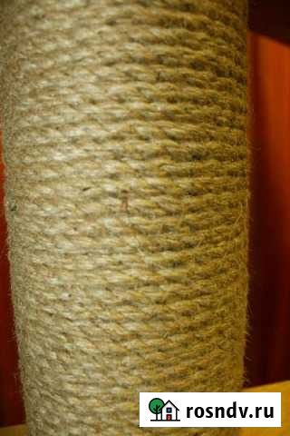 Ремонт когтеточек Уфа - изображение 1