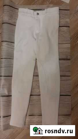 Бриджи для верховой езды детские Нижний Новгород - изображение 1