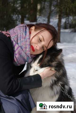 Догситтер (зооняня, передержка собак) Сочи - изображение 1