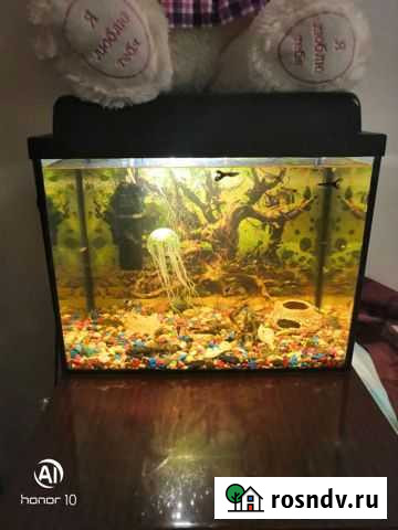 Аквариум Тверь - изображение 1