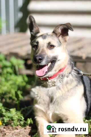 Николь в поисках своей семьи Реутов - изображение 1