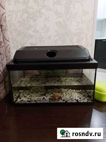 Аквариум Вологда - изображение 1