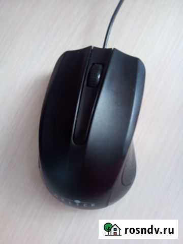 Мышь Саранск - изображение 1