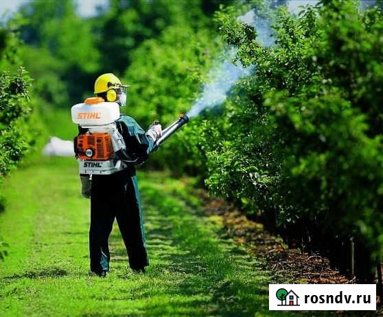 Опрыскивание от вредителей. Стрижка газона. Спил д Махачкала - изображение 1