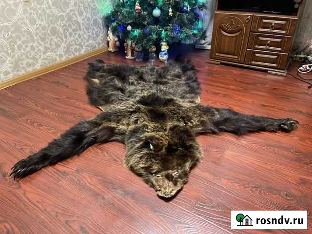 Шкура ковер медведя Узловая - изображение 1