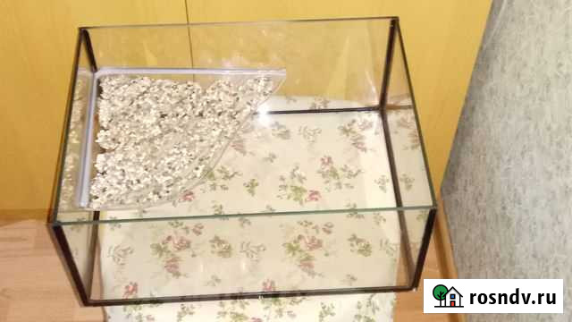 Акватеррариум Мурино - изображение 1