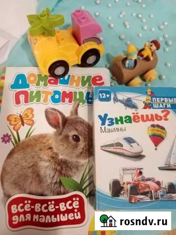 Набор игрушек Балаково - изображение 1